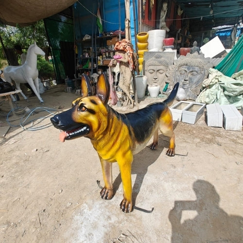 German Shephard