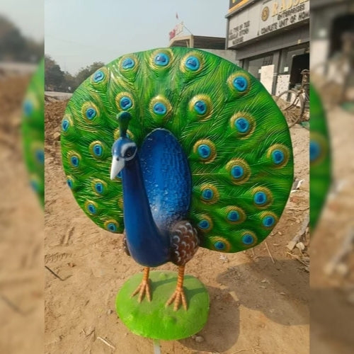 Peacock Dancing