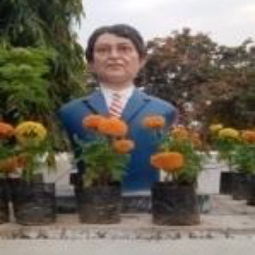 Bust Statue