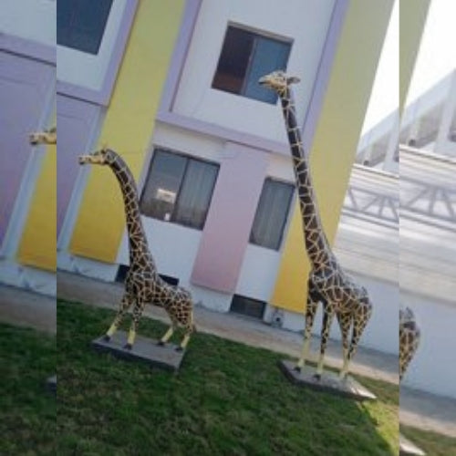 Girraffe