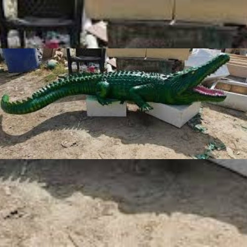 Crocodile