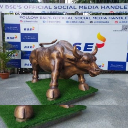 Share Market Bull