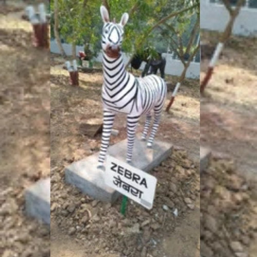 Zebra 5ft