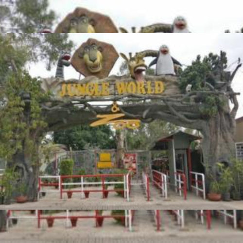 Animal Park Gate