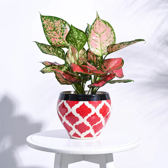 Apple Ceramic Pot