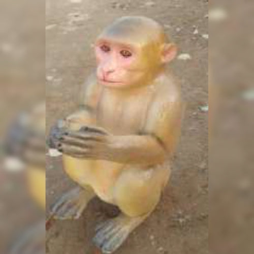 Monkey Statue