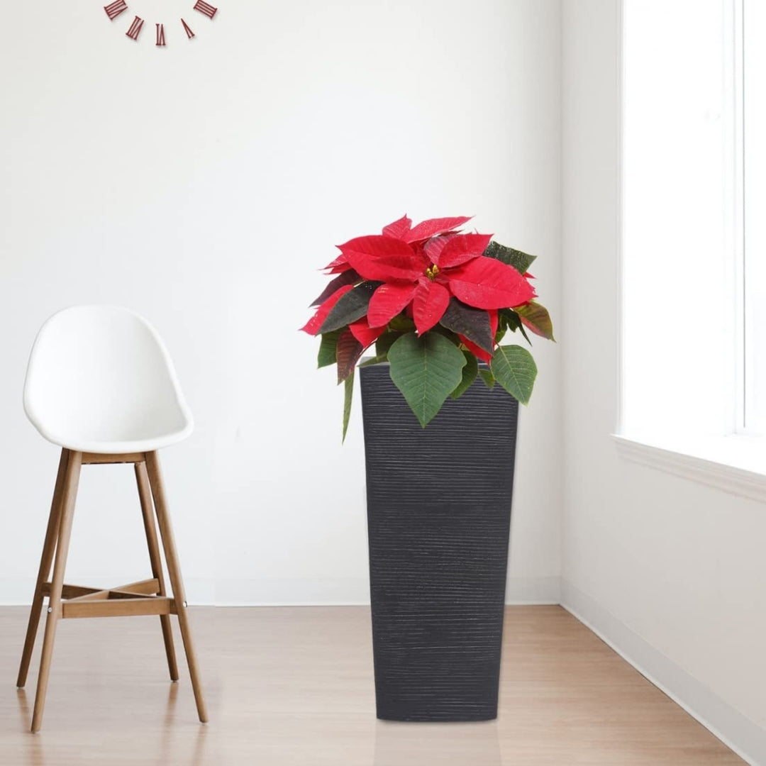 Long Square Pot