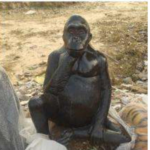 Gorilla