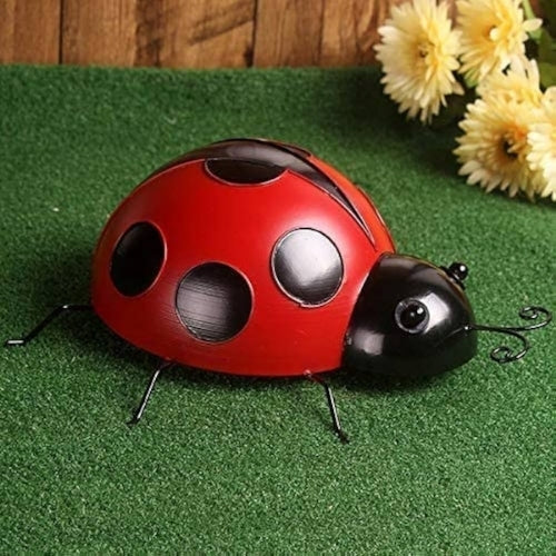 Lady Bug