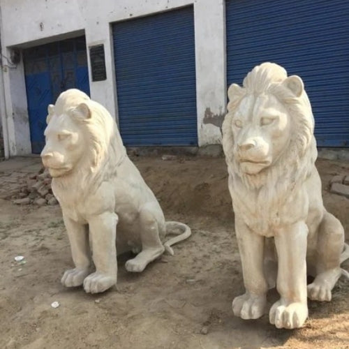 Lion Sitting