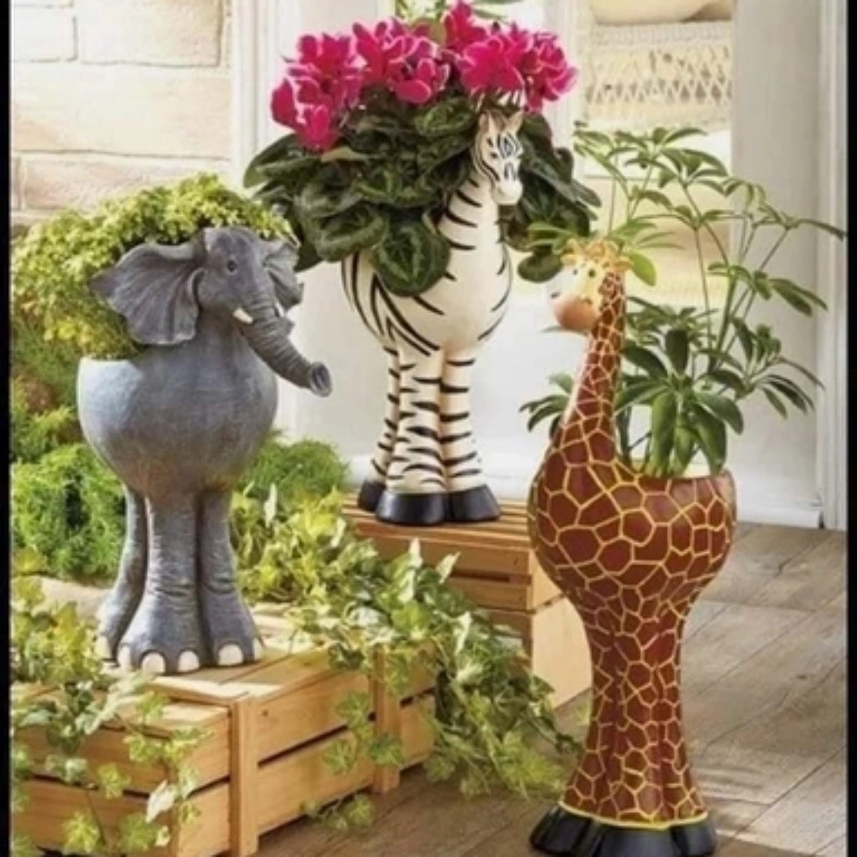 Jungle Friends