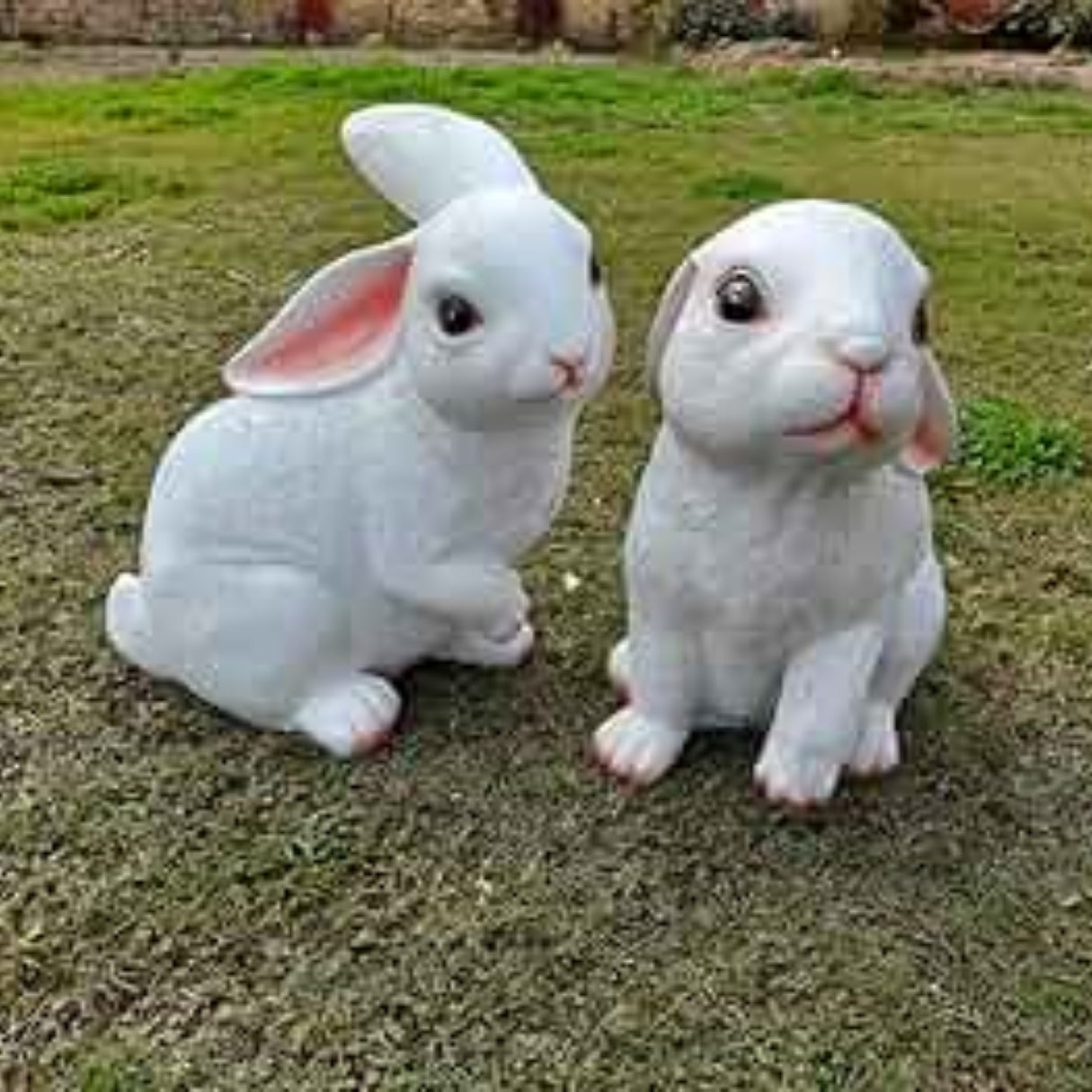 Rabbit Set