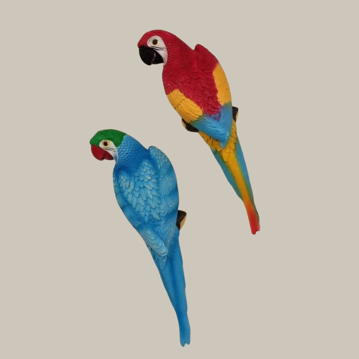 Hanging Parrot