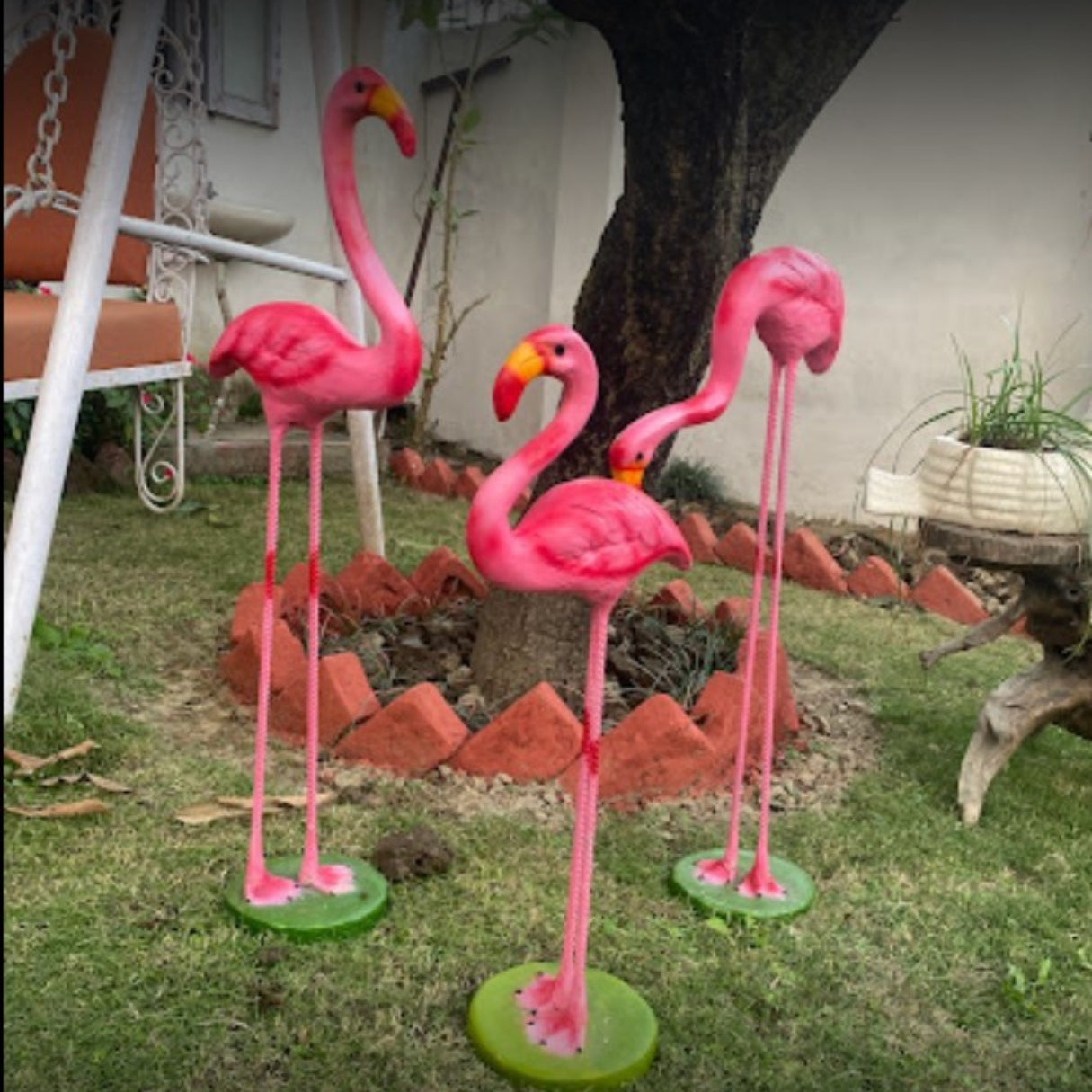 Long Leg Flamingo
