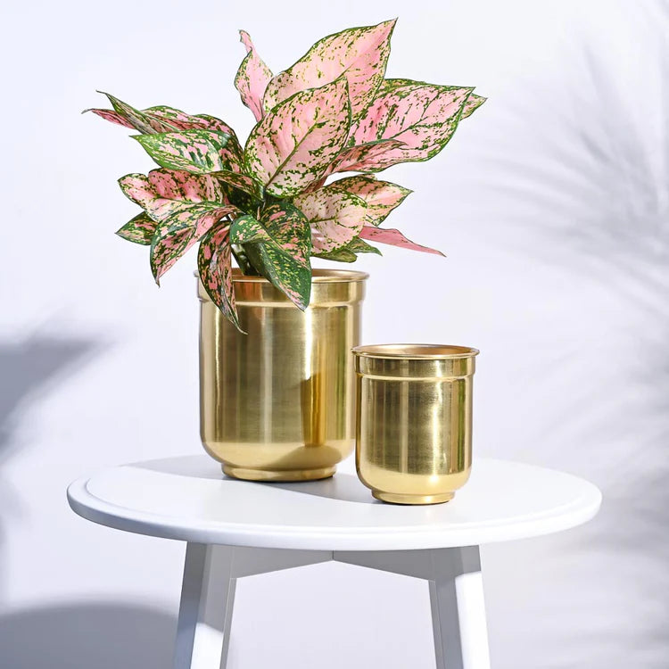Aurelian Cylindrical Planter