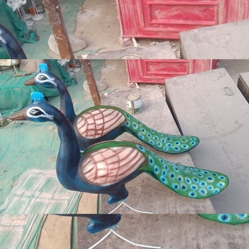 Peacock
