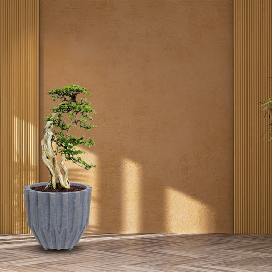 Sirius Star Pot