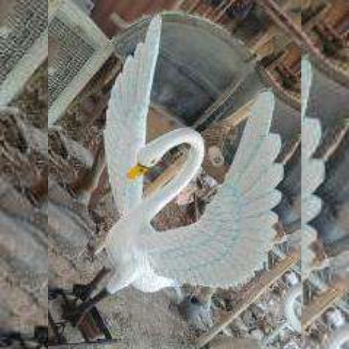 Swan