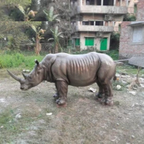 Rhinosorous