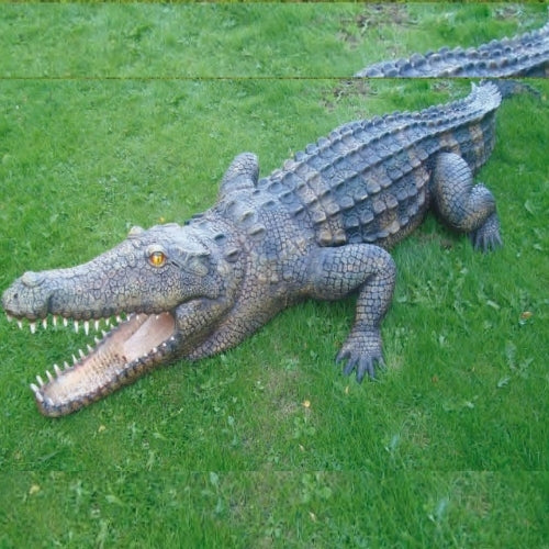 Crocodile 9ft