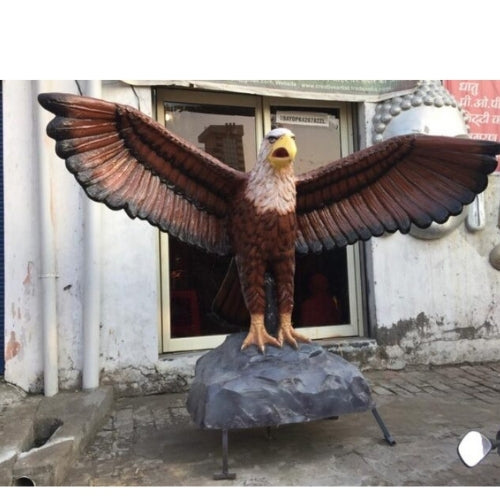 Baaz  8ft