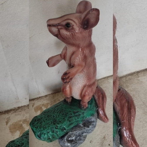 Squirrel