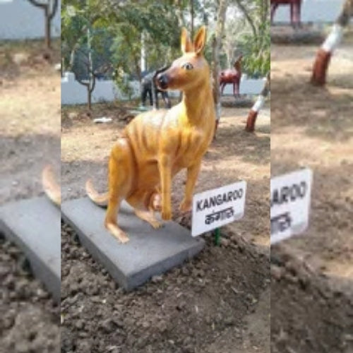 Kangaroo 4ft
