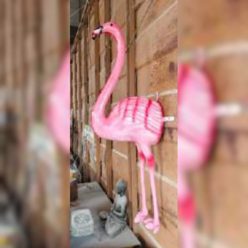 Half Flamingo