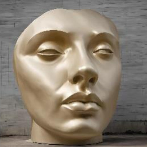 Face Sculpture