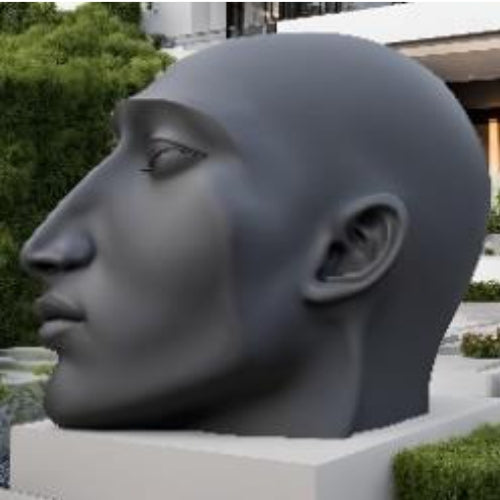 Face Sculpture