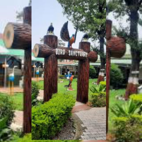 Bird Century Gate