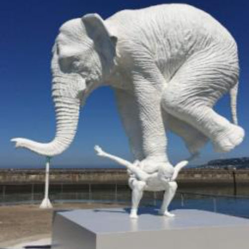 Man Holding Elephant