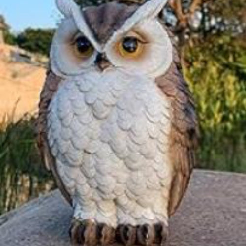 Owl Statue
