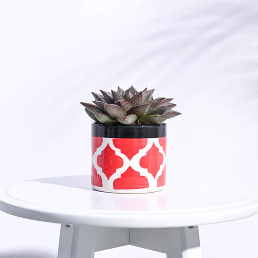 Pipe Ceramic Pot