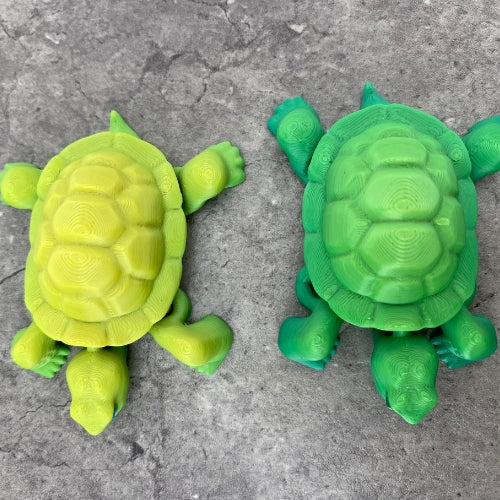 Tortoise