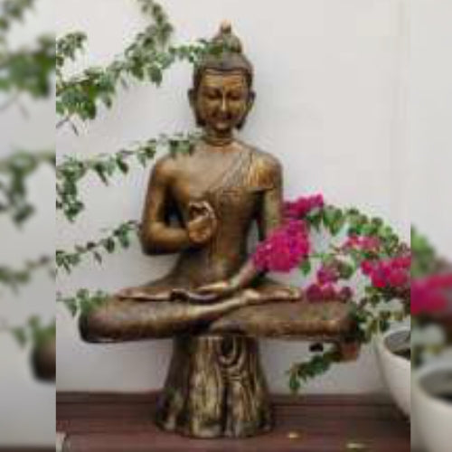 Buddha On Wooden Log