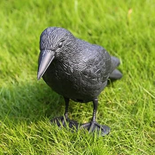 Crow Statue