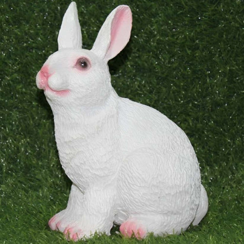Rabbit 